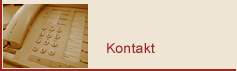 Stegemeier Kontakt